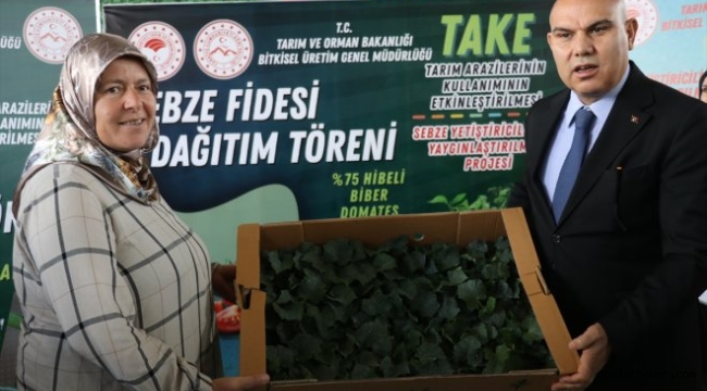 Ağrı'da, "Sebze Yetiştiriciliğinin Yaygınlaştırılması Projesi" kapsamında 500 çiftçiye fide dağıtıldı.