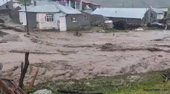 Ağrı ve ilçelerinde günlerdir devam eden sağanak yağış, ilçelere bağlı köylerde sele yol açtı.